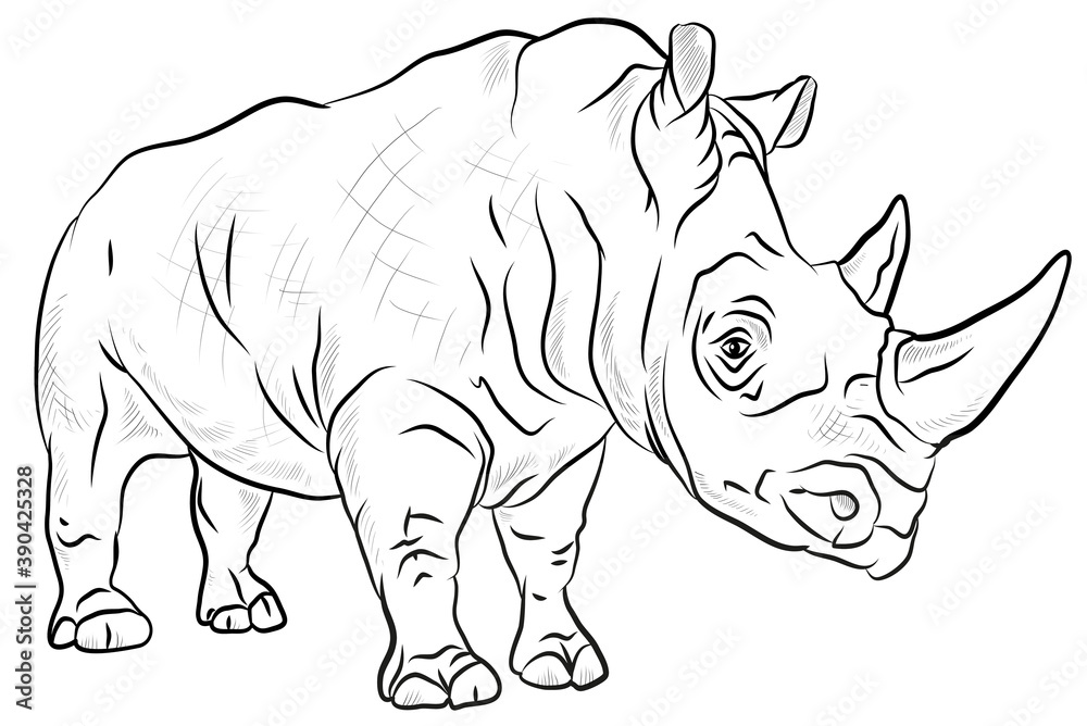 Fototapeta premium Wild African animal rhinoceros, black and white image.