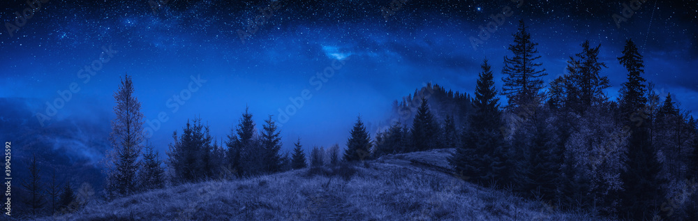 Meadow in a foggy carpathian mountains at night
