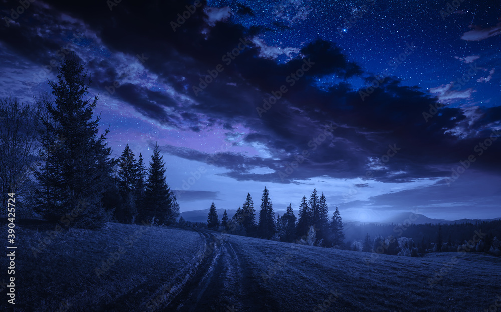 Road through the carpathian alpine valley at night Road through the carpathian alpine valley at night