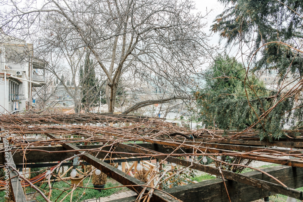 branches cover the roof of the summer veranda. trees grow nearby branches cover the roof of the summer veranda. trees grow nearby