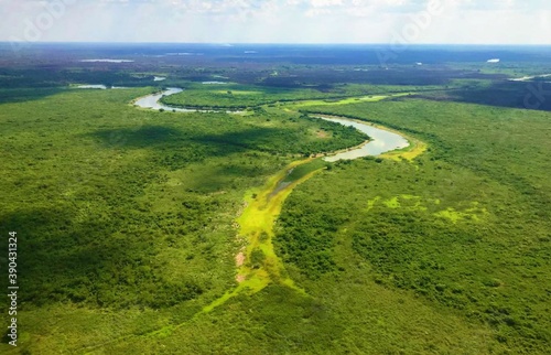 Banhados do Pantanal de Matogrosso - Brasil. photo