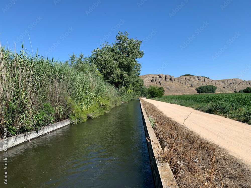 Fototapeta premium bridge over river