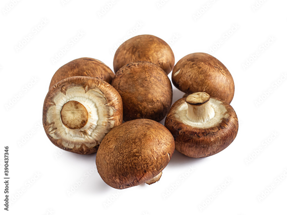 Group of mushrooms with brown caps, for lunch Group of mushrooms with brown caps, for lunch