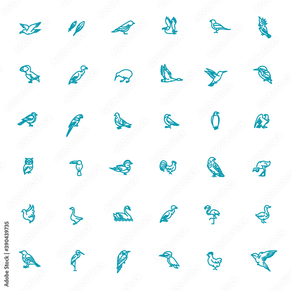 Set of different birds. Vector line icons