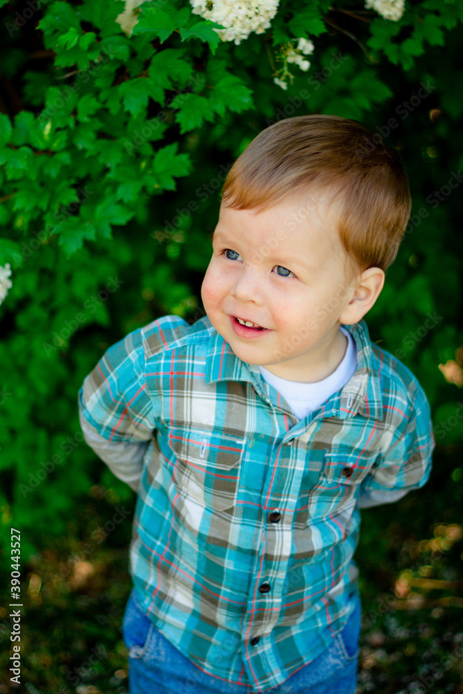 Blondin boy smiles. child claps his hands. Boy in a plaid shirt. Blond boy on a background of flowers Blondin boy smiles. child claps his hands. Boy in a plaid shirt. Blond boy on a background of flowers