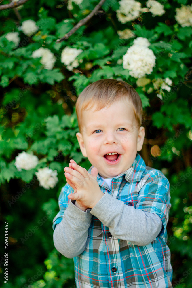 Blondin boy smiles. child claps his hands. Boy in a plaid shirt. Blond boy on a background of flowers Blondin boy smiles. child claps his hands. Boy in a plaid shirt. Blond boy on a background of flowers