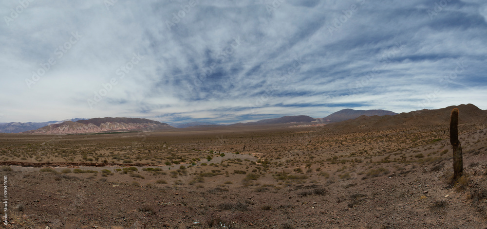 Desolated landscape. Panorama view of the arid desert, sand, giant cactus Echinopsis atacamensis, shrubs, and mountains in the horizon under a beautiful blue sky with clouds. Desolated landscape. Panorama view of the arid desert, sand, giant cactus Echinopsis atacamensis, shrubs, and mountains in the horizon under a beautiful blue sky with clouds.
