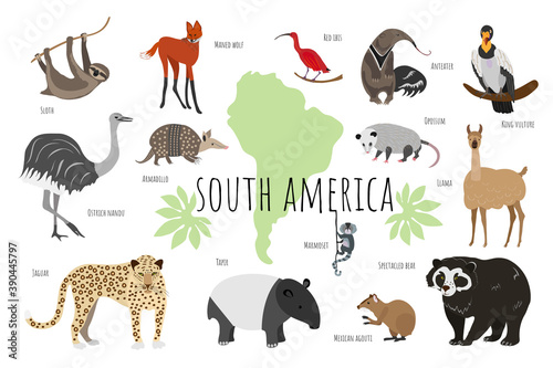 Vector collection with south american animals. Illustration with cute animals for children. Sloth, marmoset, anteater, ibis, maned wolf, tapir, llama, jaguar, rhea, agouti, bear, opossum, armadillo.