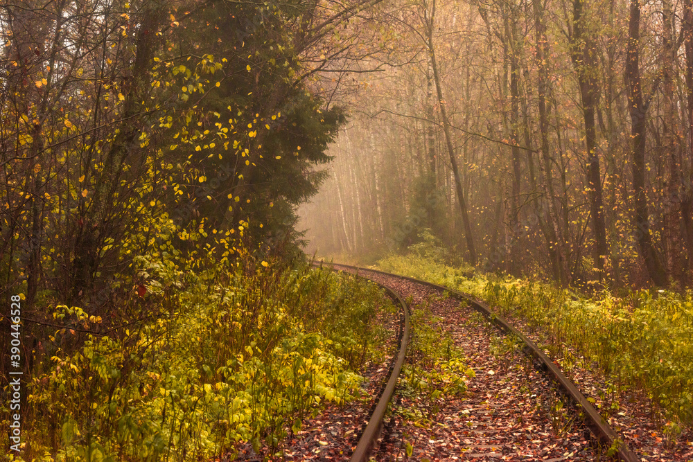Old railway in autumn forest foggy morning. Blurred background Old railway in autumn forest foggy morning. Blurred background