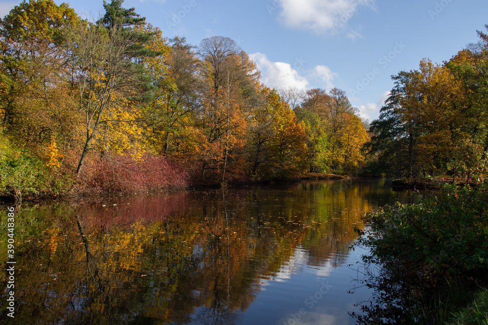 autumn forest reflected in the water