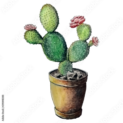watercolor illustration of a flowering cactus in a pot