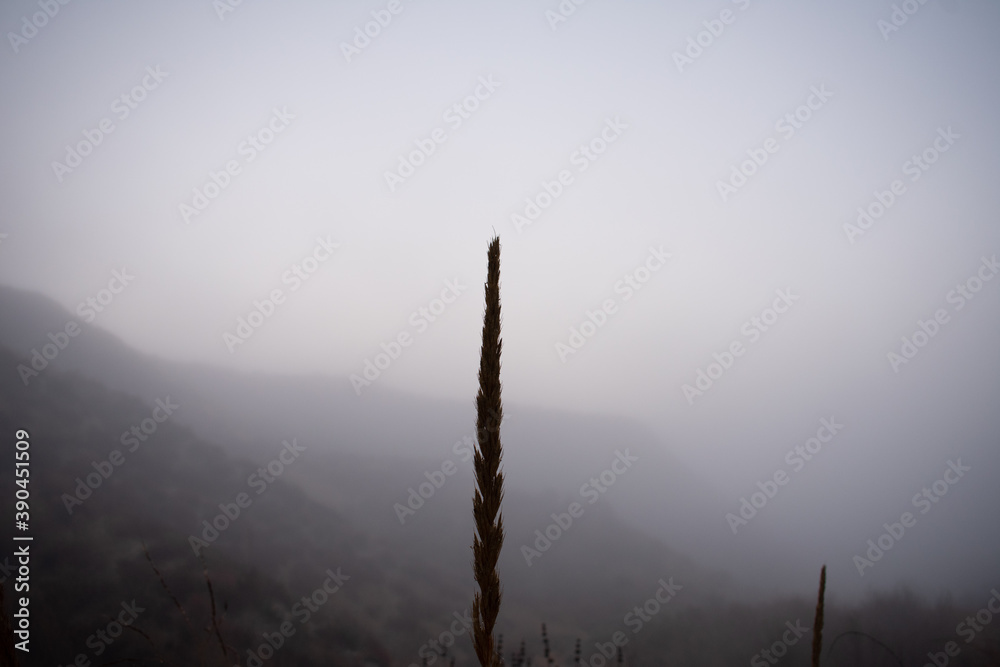 Obraz premium Simi Valley Hills