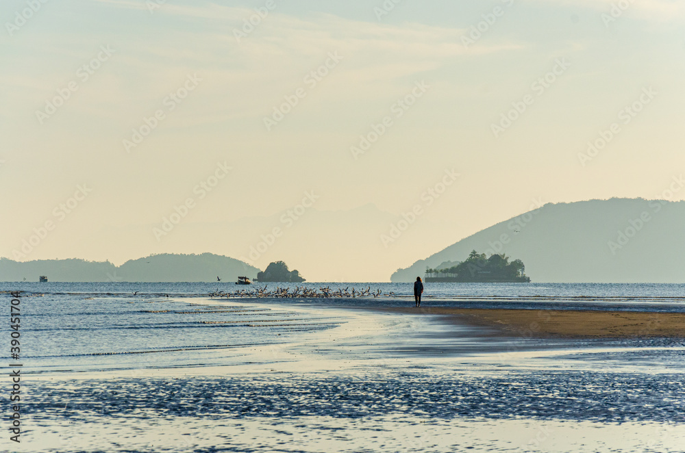 A woman far away standing near sea water with birds flying around her in the morning sunrise. Behind her, two vessels and some mountains