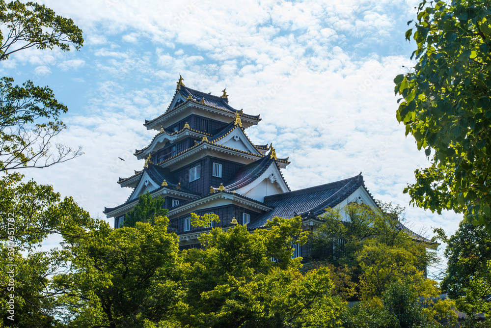 岡山城 岡山城