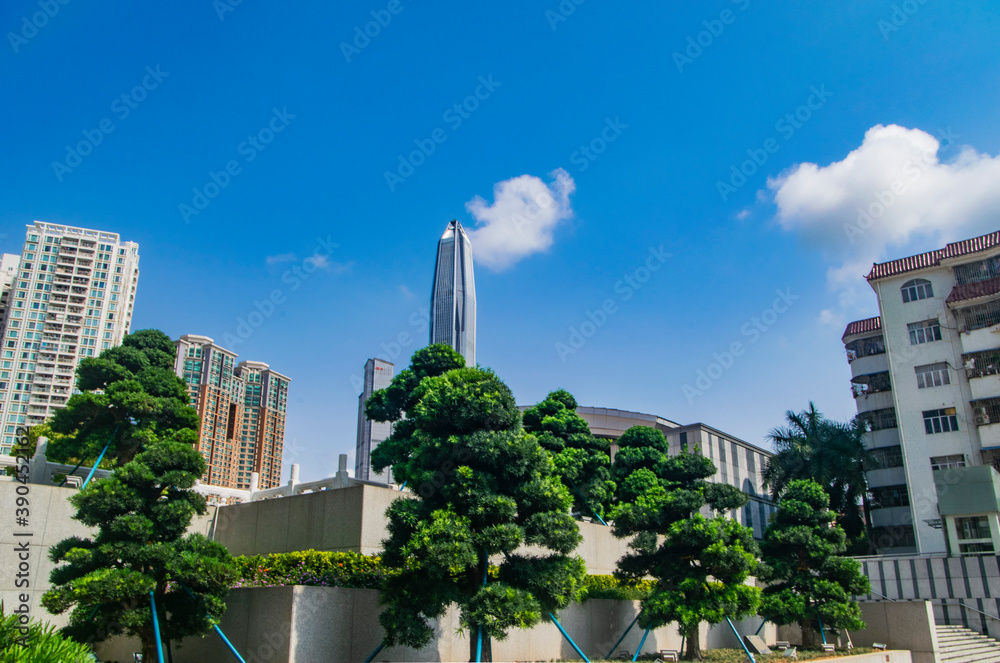 Fototapeta premium downtown city downtown