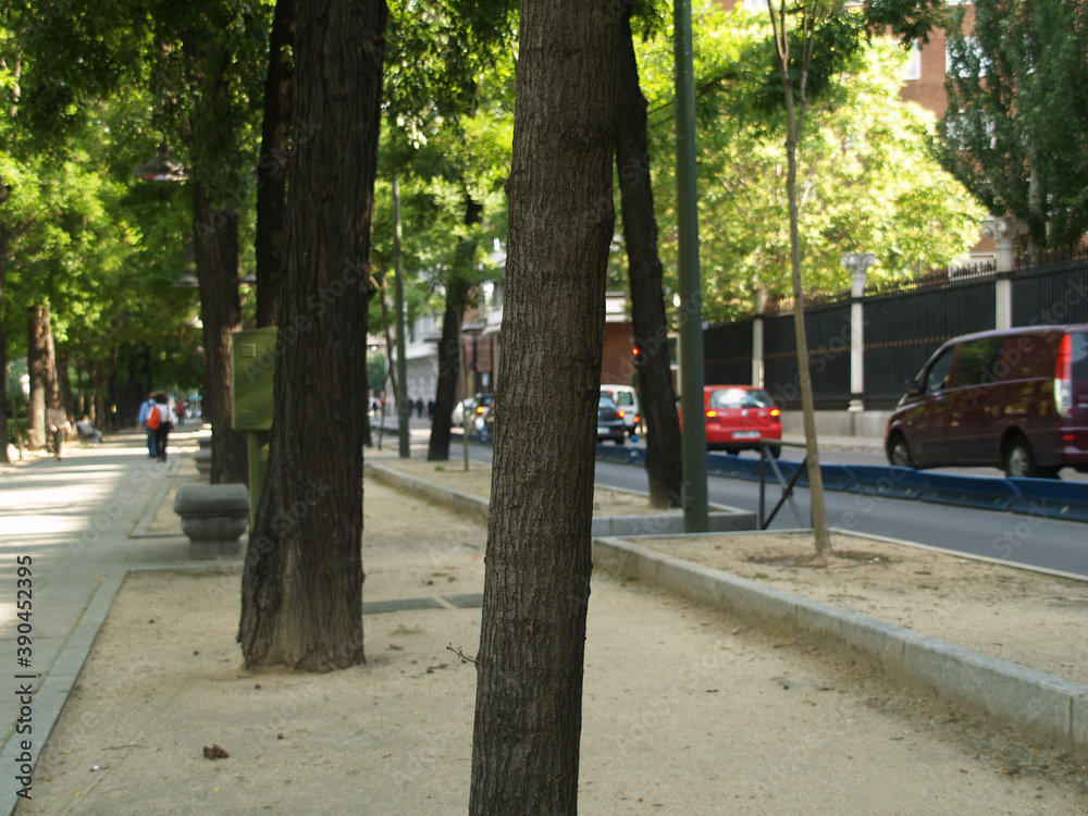 the Paseo de la Castellana in Madrid. Spain