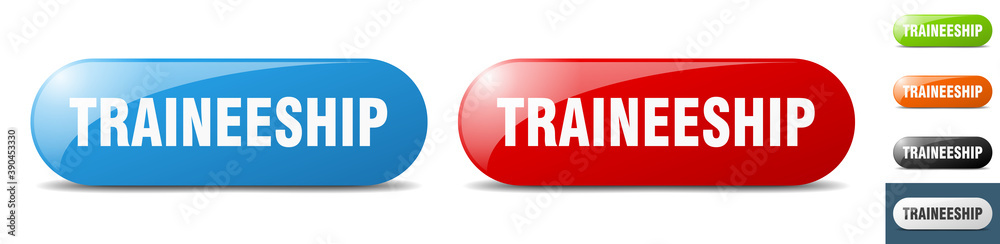 traineeship button. key. sign. push button set traineeship button. key. sign. push button set