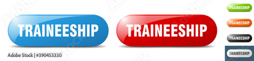traineeship button. key. sign. push button set
