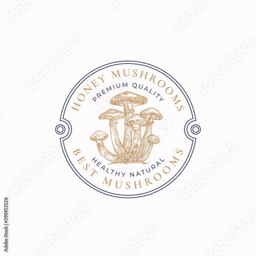 Mushrooms Abstract Frame Sign, Symbol or Logo Template. Hand Drawn Colorful Honey Mushrooms Group with Typography and Border Badge. Edible Plant Vector Emblem Concept. Isolated