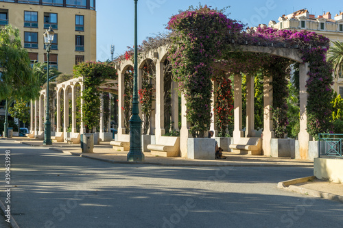 Pergola in Ajaccioauf der Insel Korsika.