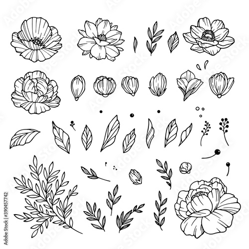 Rose bud collection. Elements of roses isolated on white background. Bouquet of roses. Flower isolated against white. Beautiful set of flowers. Vector illustration
