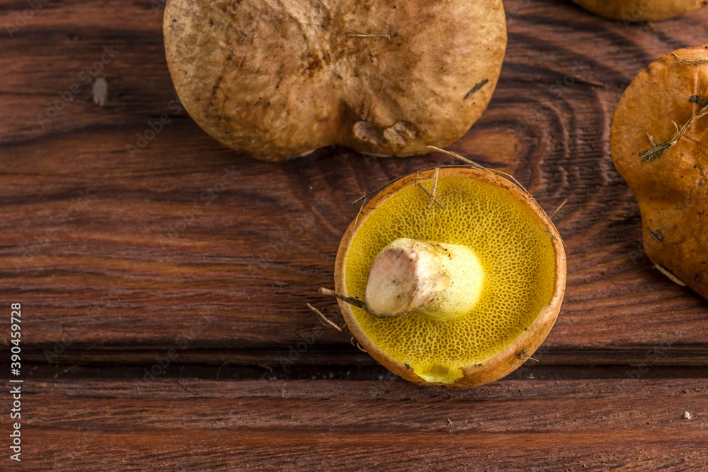 Several edible butter mushrooms on wooden background