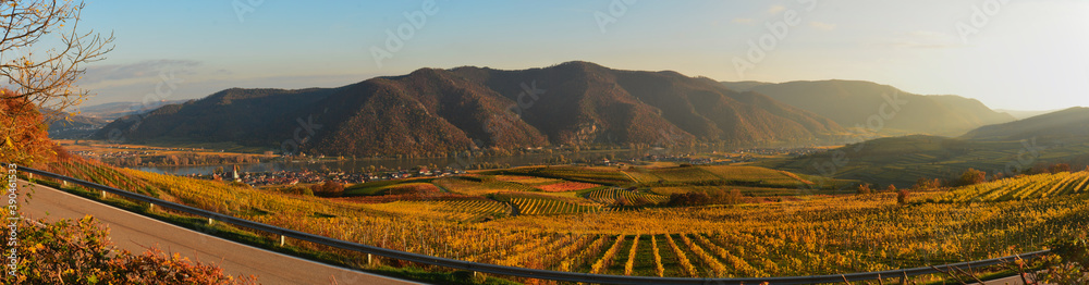Panoramic view of Wachau landscape in authum before sunset 