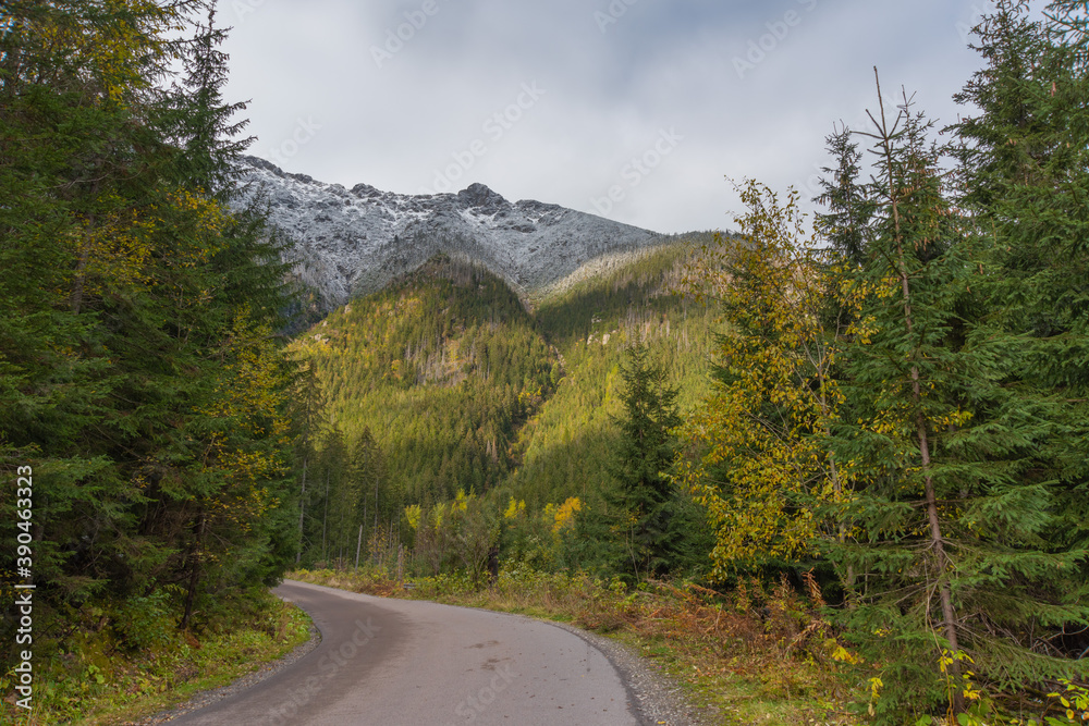 Road with autumn trees and high mountains covered with snow