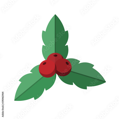 Vector flat design Christmas Holly Berry