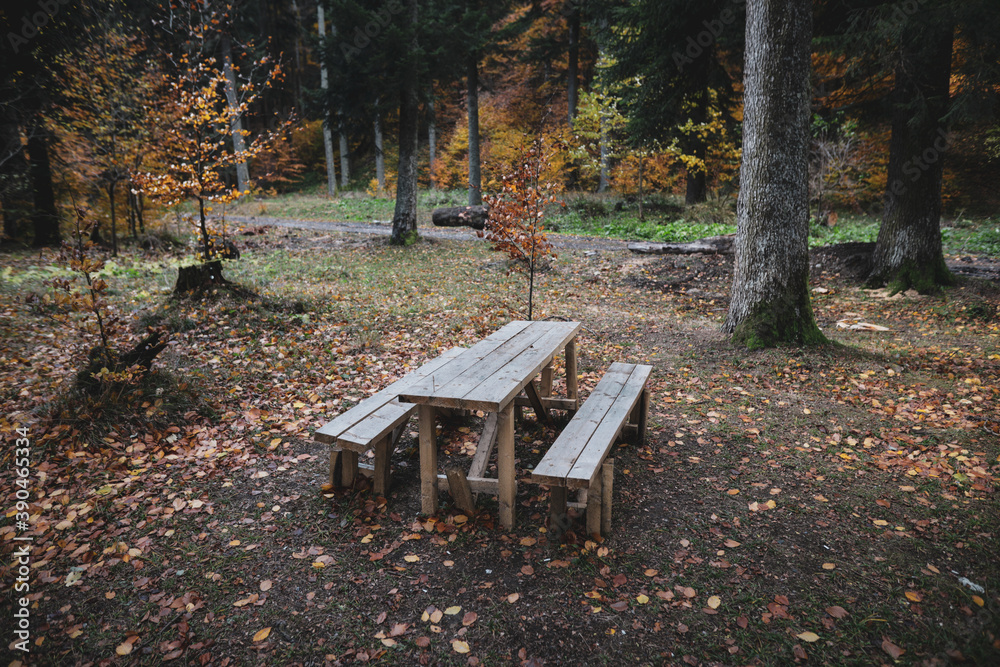 Wooden table and benches in the middle of a Romanian forest during a cold and rainy November day. Wooden table and benches in the middle of a Romanian forest during a cold and rainy November day.