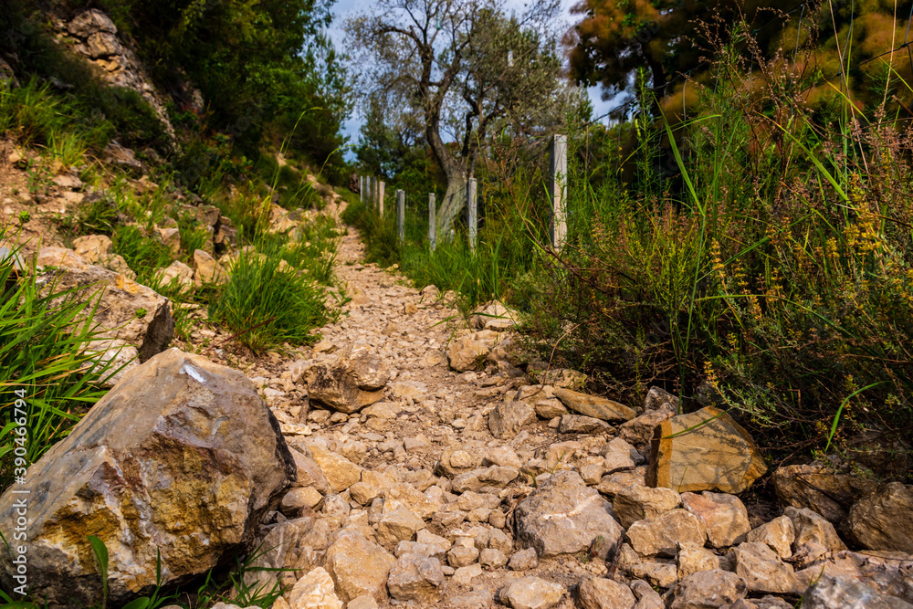 A picturesque low-angle view of a hiking path in the French Alps mountains on a sunny summer evening (Puget-Theniers, Alpes-Maritimes, Provence, France)