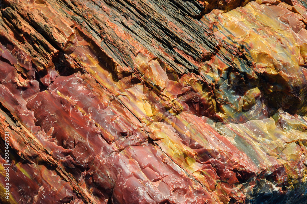 Colorful Petrified Log at Petrified Forest National Park