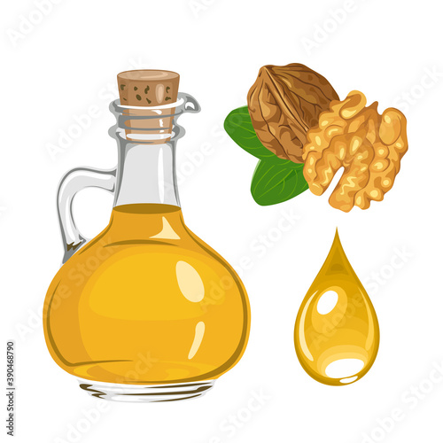 Walnut oil in glass bottle and drop isolated on white. Vector food illustration. Cartoon flat style.