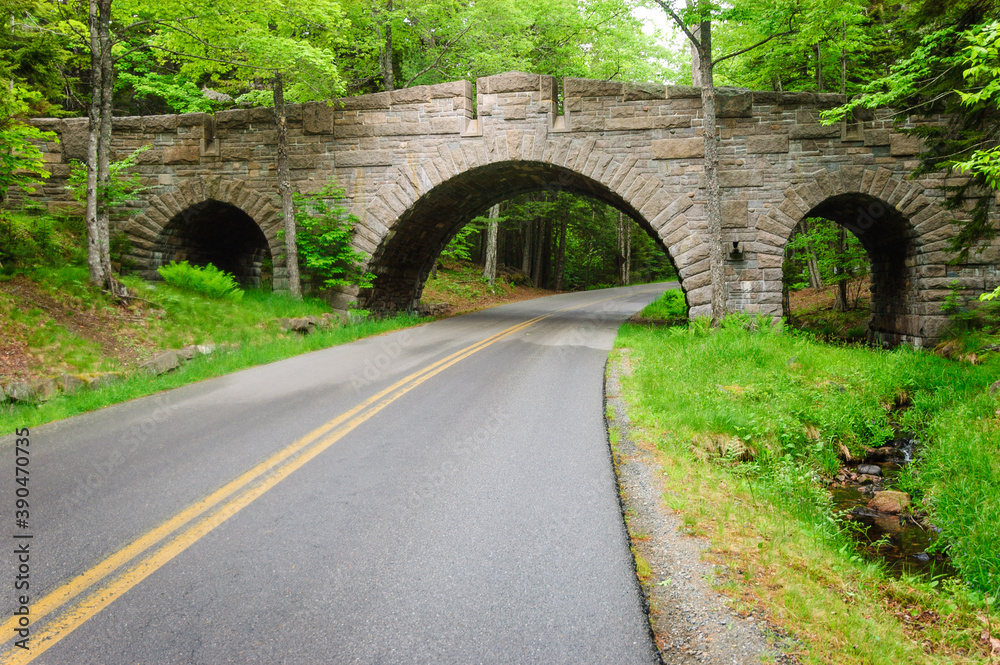 Fototapeta premium Acadia National Park
