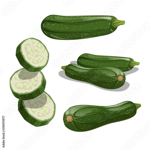 Zucchini set. Whole vegetable, cut, single and group. Flying slices. Farm fresh veggies. Vector illustrations isolated on white background.
