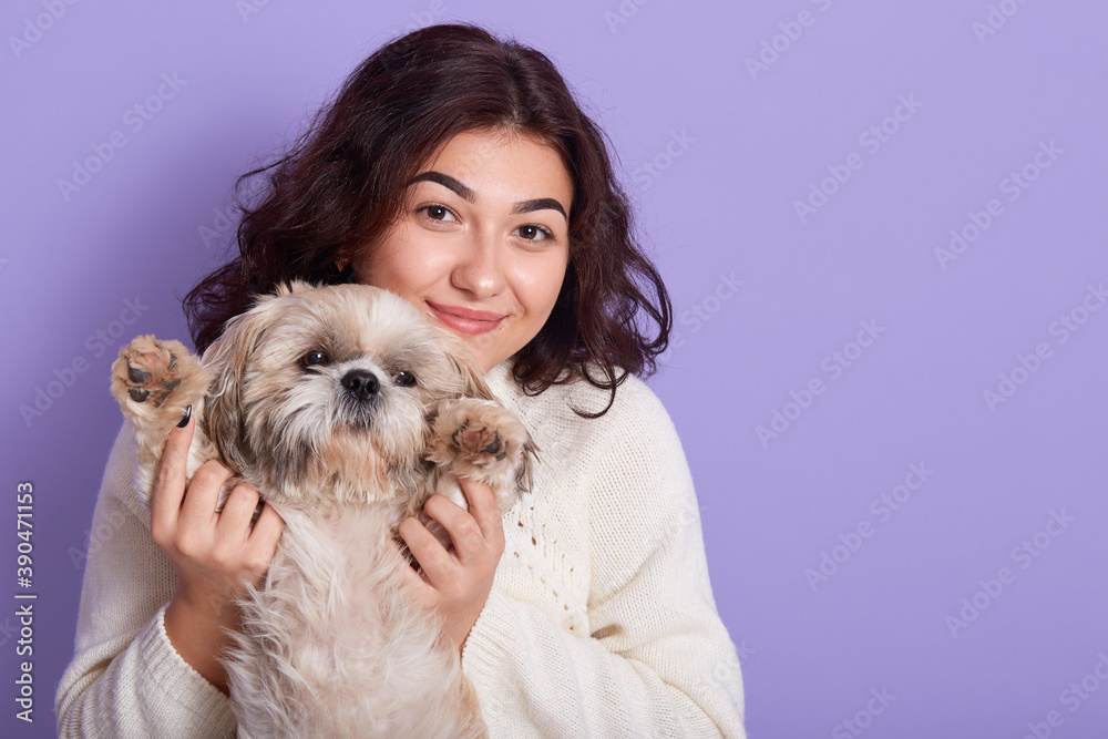 Dark beautiful girl cannot imagine her life without her pet, posing isolated blue background, lady with pekingese dog, copy space for advertisement or promotional text. Dark beautiful girl cannot imagine her life without her pet, posing isolated blue background, lady with pekingese dog, copy space for advertisement or promotional text.