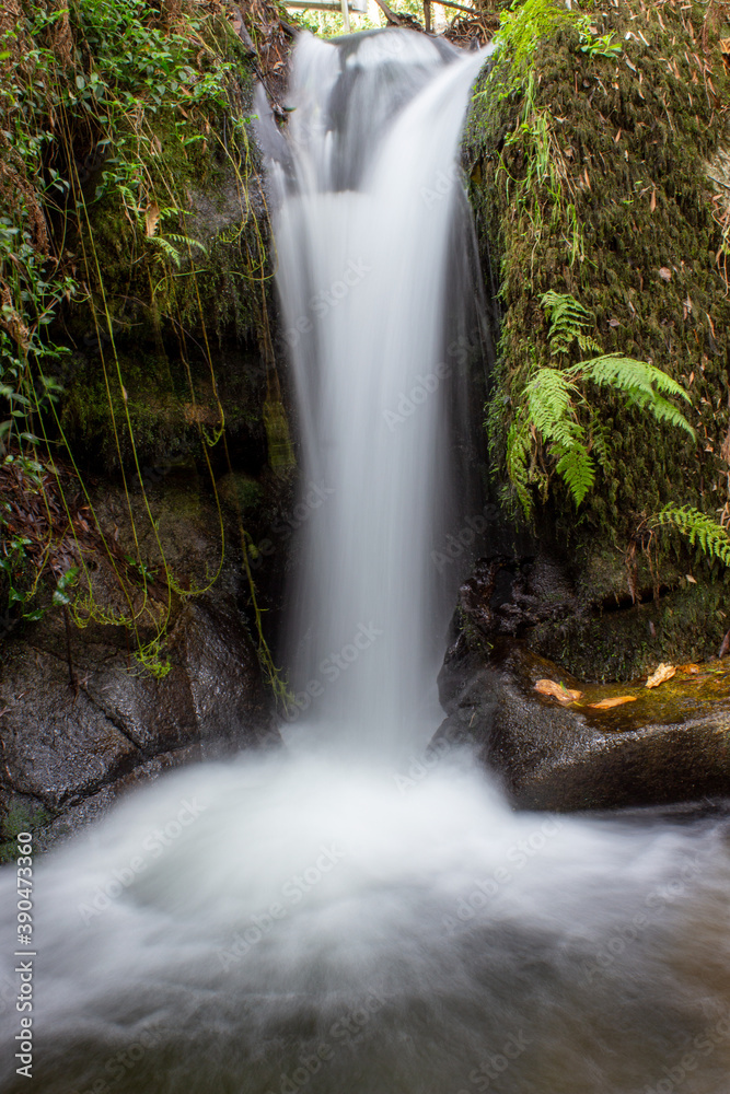 Obraz premium watterfall in Galicia. Long exposure . Sameira, Pontevedra