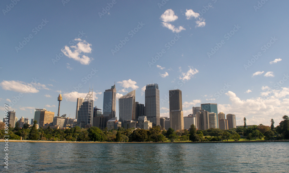 CBD Sydney skyline , view from Royal Botanic Garden .