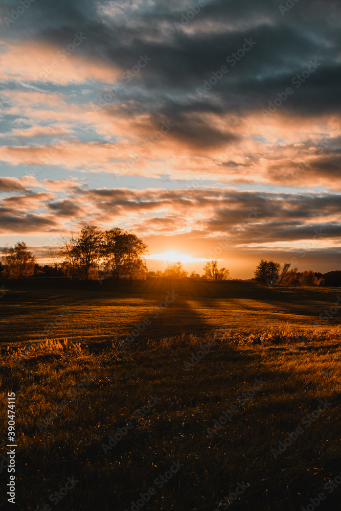 Obraz premium Dramatic autumn sunset in the countryside with tree silhouettes in the sunlight glow