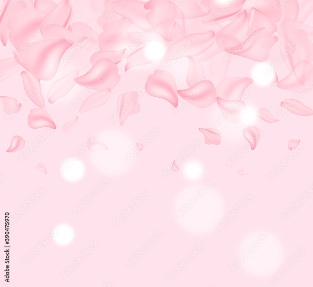 Petals of roses. Spring background table. May flowers and April floral nature on pink. For banner, branches of blossoming cherry against background. Dreamy romantic image, landscape, copy space.