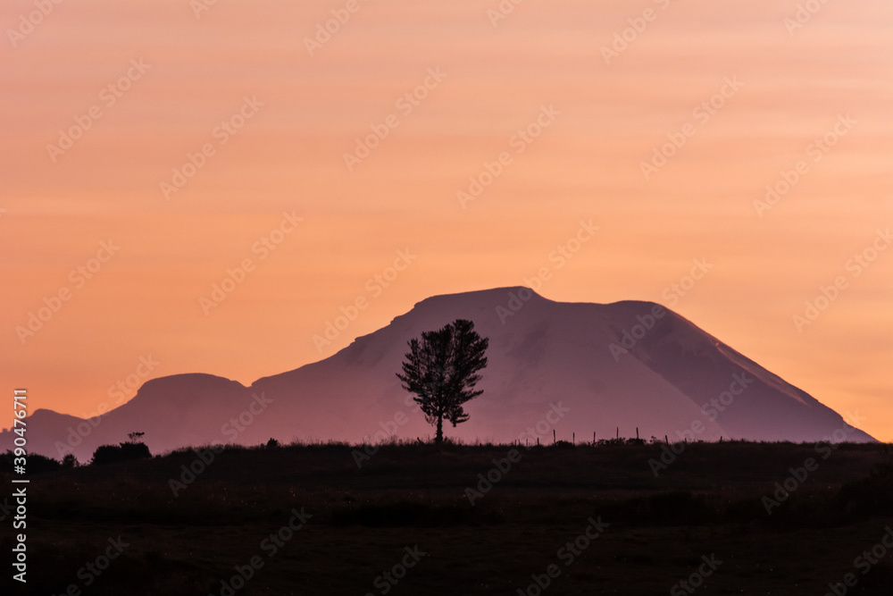 silhouette of the chimborazo volcano with a tree and a mountain, the highest point in the world