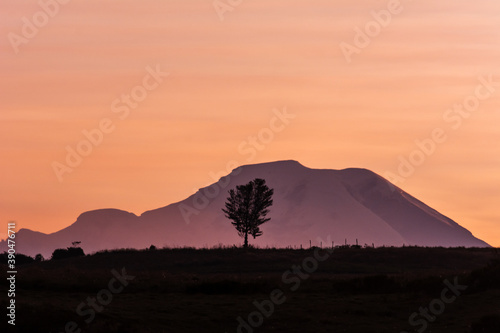 silhouette of the chimborazo volcano with a tree and a mountain, the highest point in the world