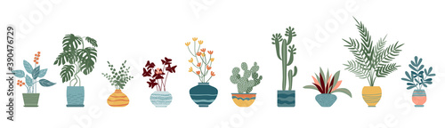 Trendy home decor with plants, cacti, tropical leaves in stylish planters and pots. Vector illustration