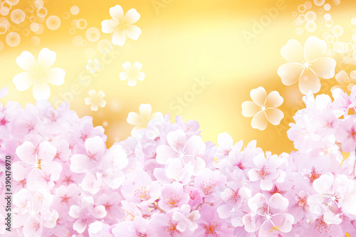 桜の花 © Paylessimages