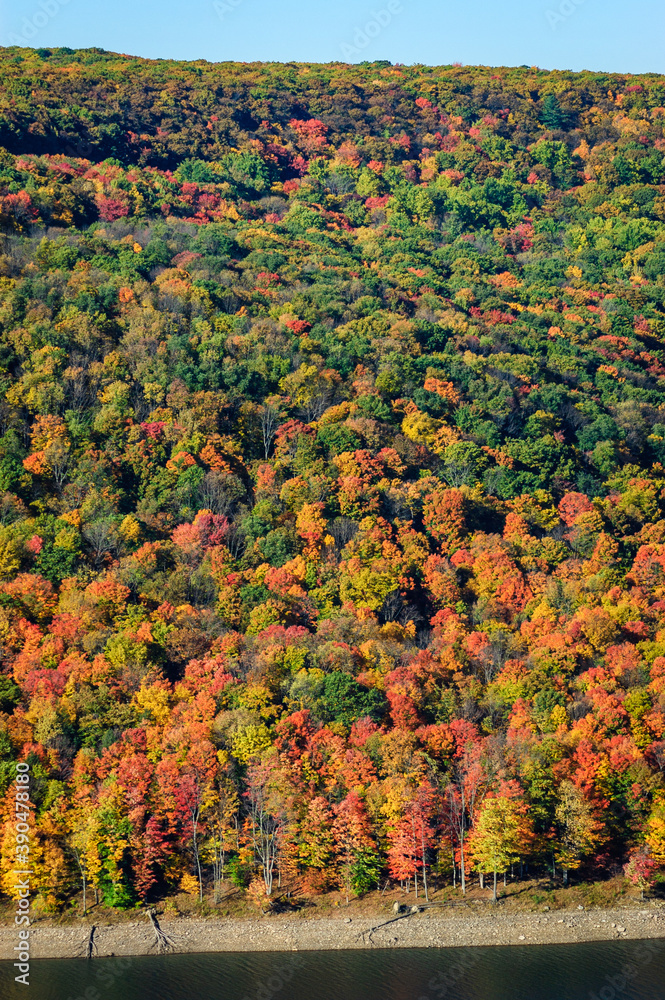 Autumn at the Allegheny National Forest