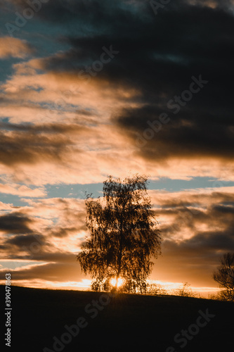 Dramatic autumn sunset in the countryside with tree silhouettes in the sunlight glow