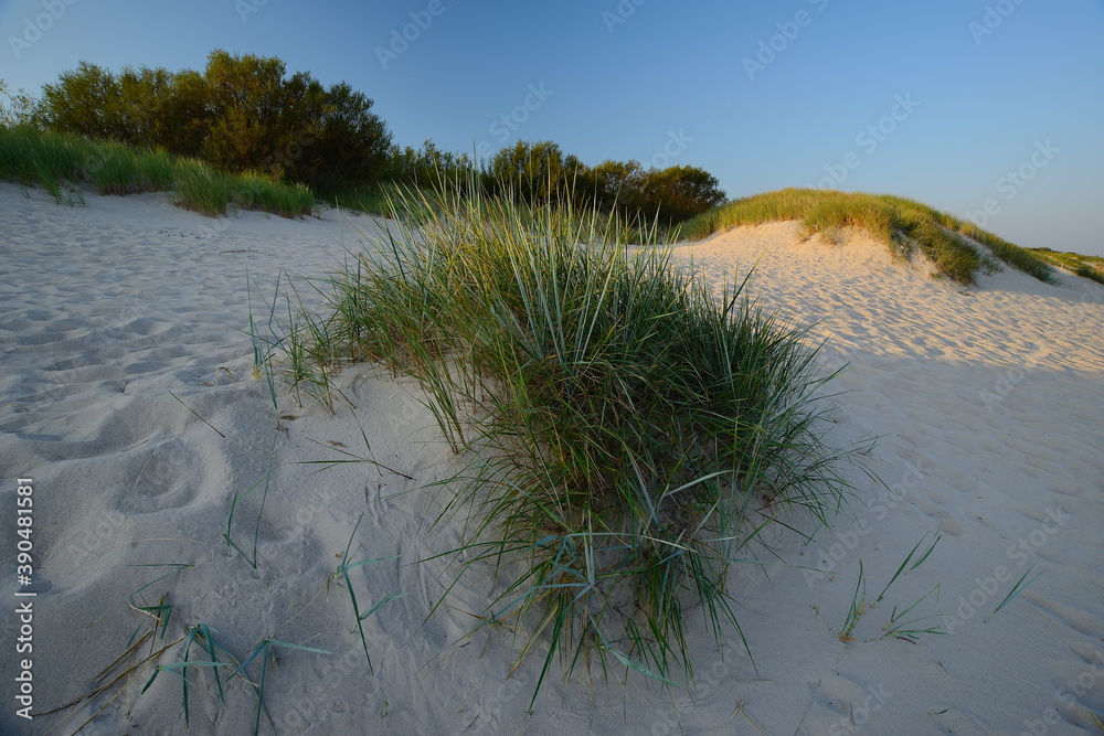 Dune on the beach, Ustka, Poland, Baltic sea. Dune on the beach, Ustka, Poland, Baltic sea.