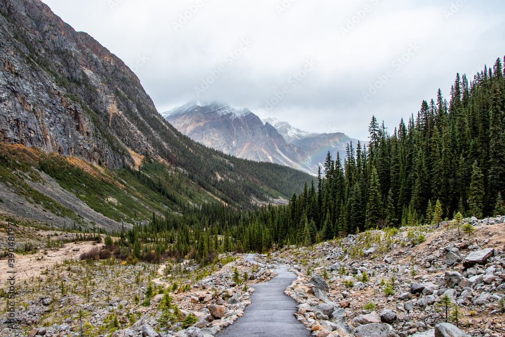 Fototapeta premium rocky mountain landscape at Mount Edith Cavell, Alberta, Canada