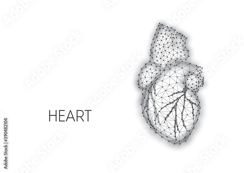 Polygonal anatomical human heart made of black lines and dots isolated on white background.
