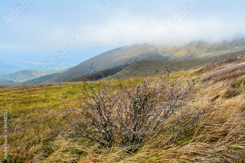 Fototapeta Naklejka Na Ścianę i Meble -  Bieszczady Mountains in Poland, Beautiful autumn mountain landscape